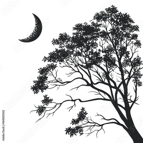Silhouette of a crescent moon shining over a detailed tree with many branches and leaves at night