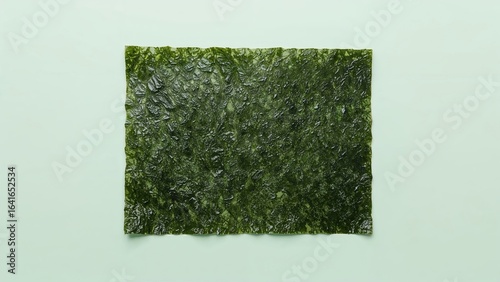 Seaweed texture backdrop