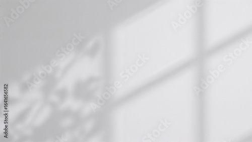 Light gray abstract backgro...