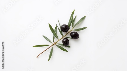 Photograph featuring a blac...