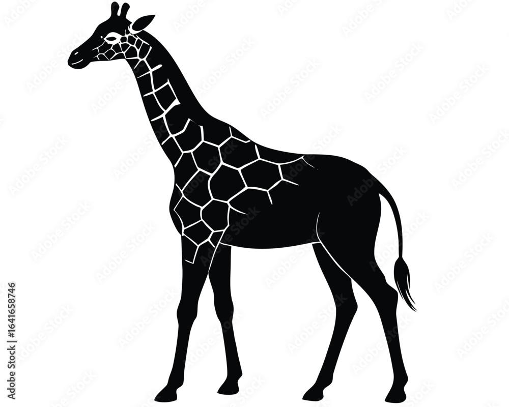 Obraz premium Giraffe Silhouette