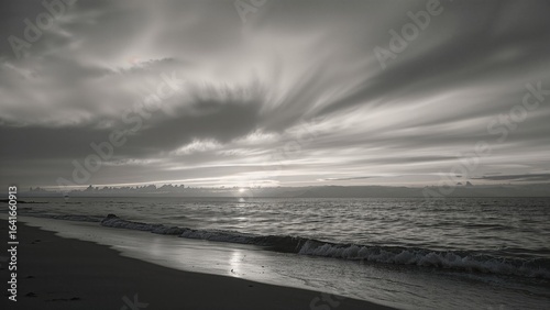Grayscale picture showing a...
