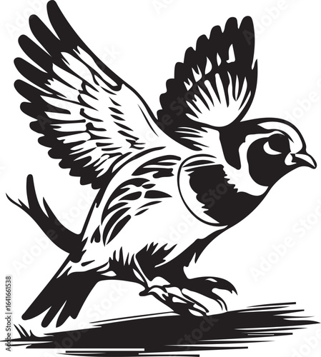 Black and White Vector Illustration of a Bird Taking Flight
