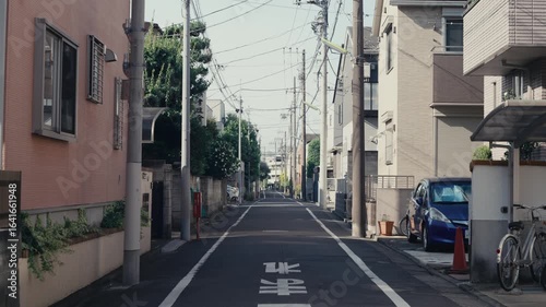 Tokyo street view with power poles and peaceful urban vibe.