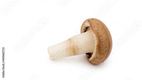 Lone piece of champignon mu...