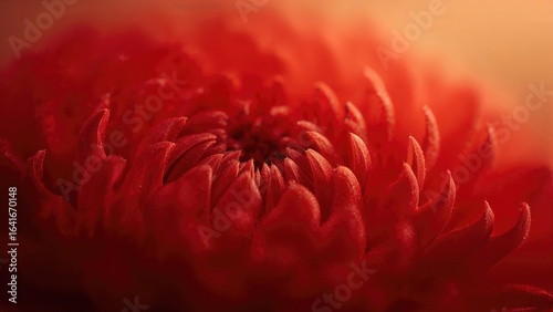 Close-up of a red blossom w...