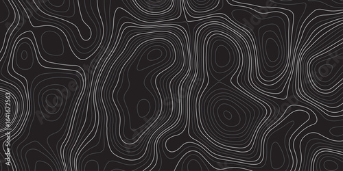 Abstract dark topographic contour map background with smooth flowing lines and modern minimal design. Elegant black pattern ideal for wallpapers, presentations, and graphic design projects.