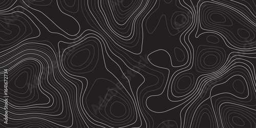 Abstract dark topographic contour map background with smooth flowing lines and modern minimal design. Elegant black pattern ideal for wallpapers, presentations, and graphic design projects.