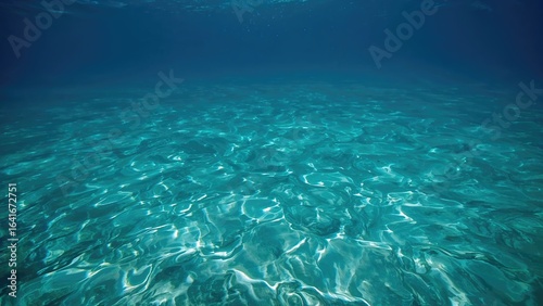 Marine environment showcasi...