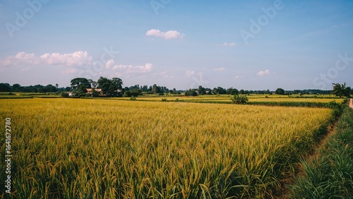 Farmland scenery featuring ...