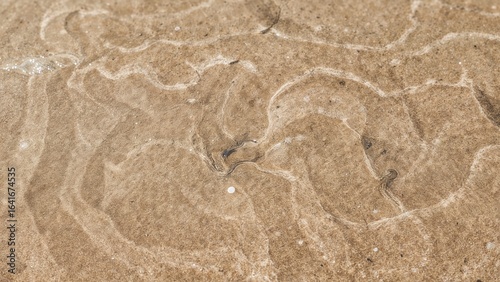 Patterns in Sand Texture Ab...
