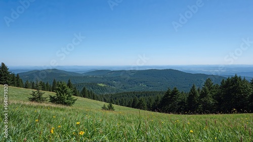 Panoramic landscape featuri...