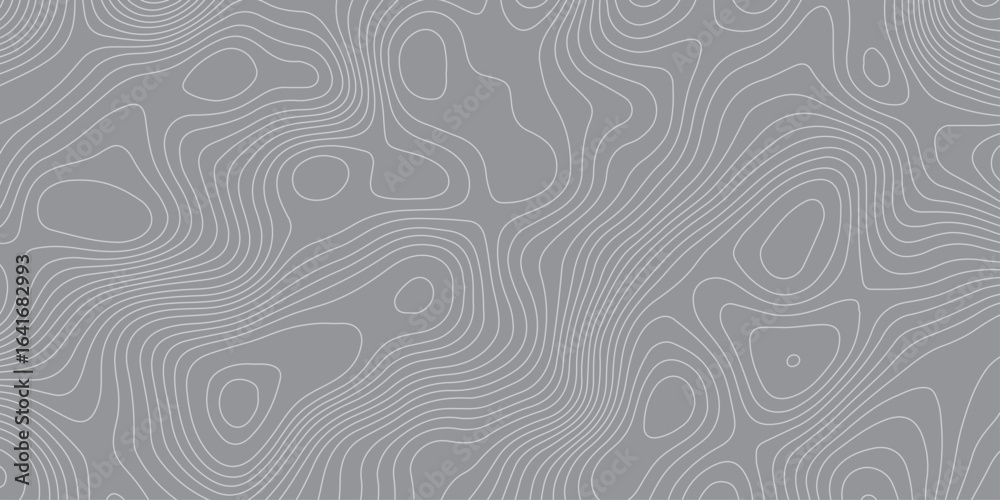 Fototapeta premium Abstract topographic contour pattern background with smooth curved lines in gray tones. Minimalist modern texture design for mapping, geology, elevation, terrain, or digital graphic projects.