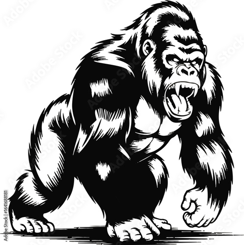 Aggressive Black and White Gorilla Roaring with Bared Teeth on White Background primate animal