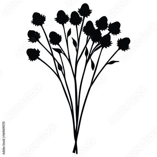 Florist element isolated dried flower bunch on white background 