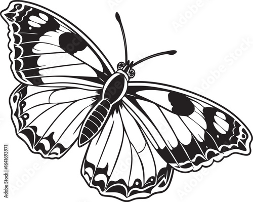 Black and White Vector Drawing of a Butterfly insect
