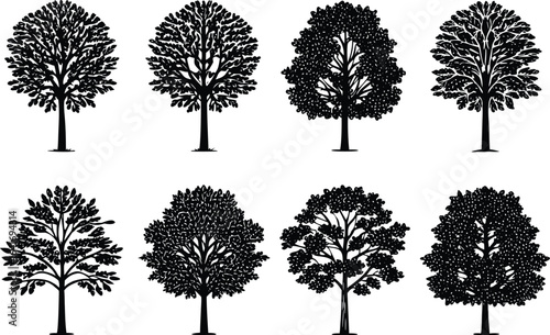 Collection of silhouette trees in varying shapes and densities ideal for design elements and creative projects with natural themes