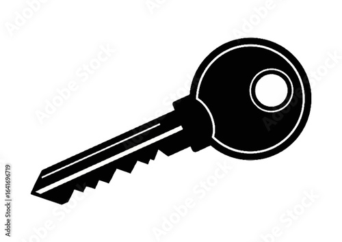 Black silhouette of a key on white background for security and access concept
