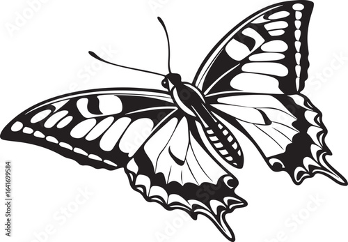 Black and white illustration of a swallowtail butterfly