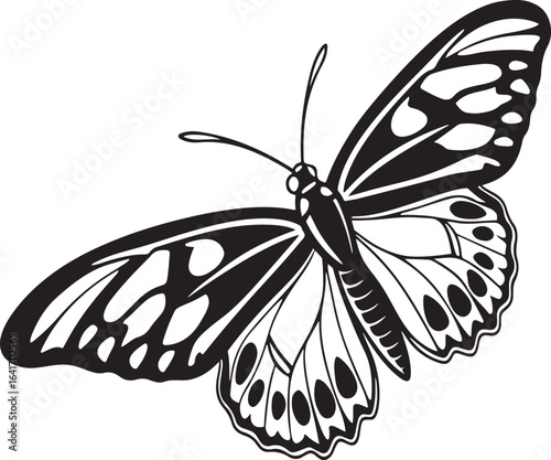Elegant black and white butterfly vector art insect