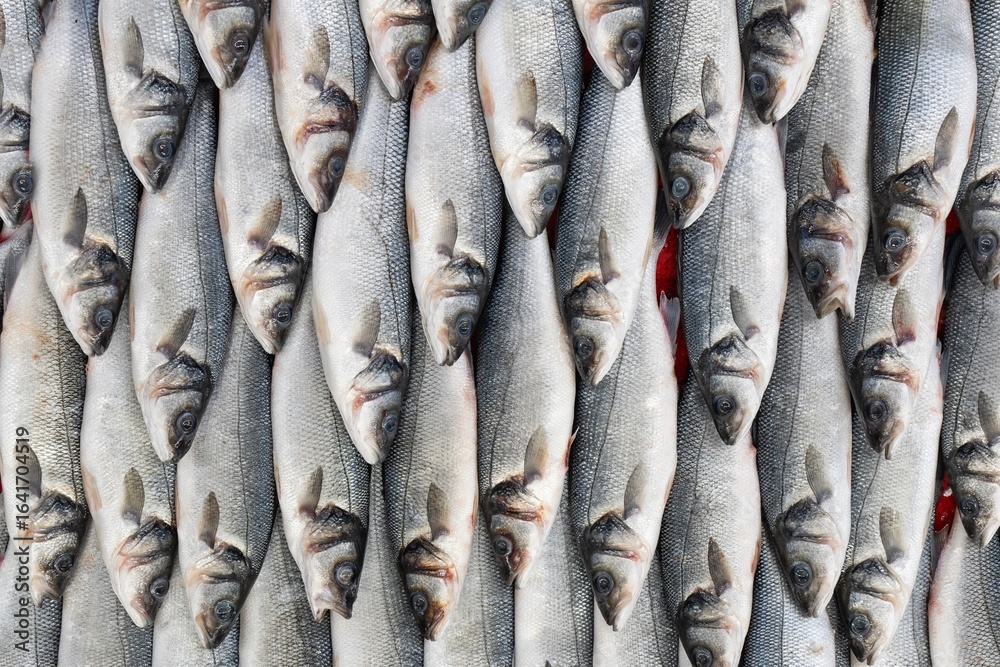 Obraz premium Frozen Symmetrical Fish at Eminonu Fish Market Photo, Eminonu Fatih, Istanbul Turkiye (Turkey)