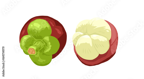 Purple mangosteen fruit peeled and white flesh 
