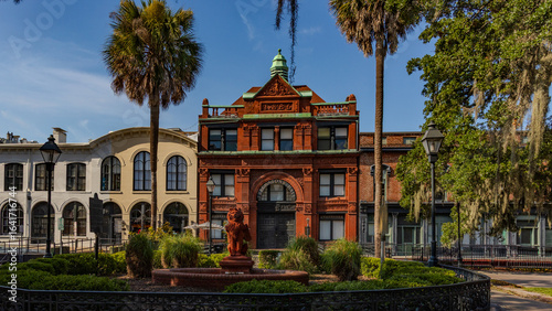 savannah