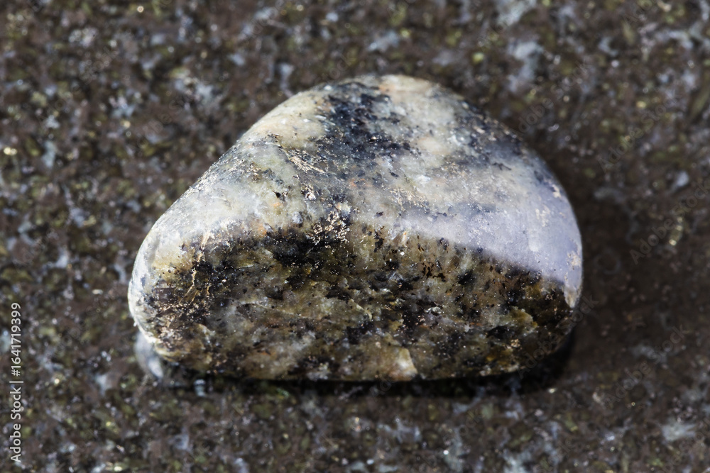 Fototapeta premium sample of tumbled diorite mineral on black granite