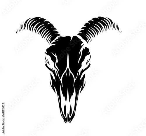 Ram skull with long curved horns

