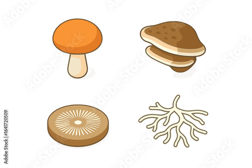 Isometric forest fungi icon set. Vector illustration of mushroom cap, bracket fungus, spore print, mycelium, woodland fungi, mycorrhizae. Edible, poisonous, wild mushrooms. Transparent background