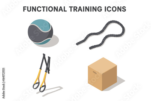Isometric Flat Icon Set of Functional Training Equipment Including Medicine Ball, Battle Rope, TRX Suspension Straps, and Plyometric Box – Fitness and Exercise Vector Illustration