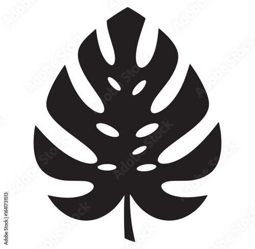Simple black and white silhouette of a monstera deliciosa leaf for design elements