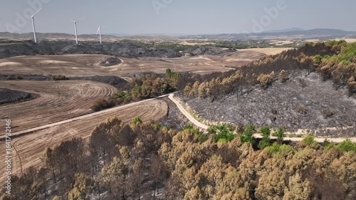 Desolate appearance after a forest fire that started in cereal fields and affected scrubland and forest