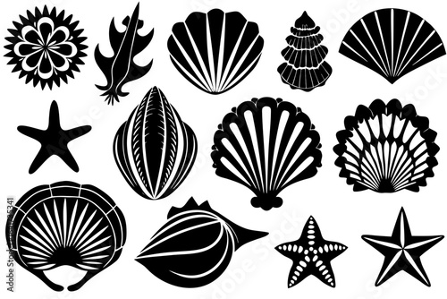Collection of black and white sea shell and marine life icons. A conceptual set of ocean animal silhouettes for design.
