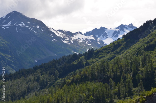 Exit Glacier Alaska 2025