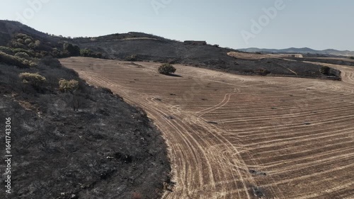 A lone tree in a burnt field with charred bales and scorched bush
