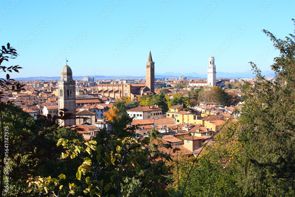 Obraz premium View over the City of Verona, Italy 