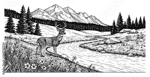 Colorado Landscape with Majestic Deer River Mountain and Flowers Black and White Outline Line Art Drawing