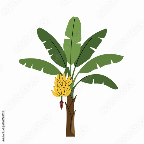 Vibrant illustration of a banana tree with a full bunch of ripe yellow bananas and its distinctive red blossom.