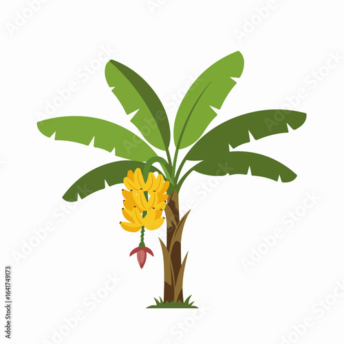 Stylized Banana Tree with Ripe Yellow Fruit and Blossom on White Background