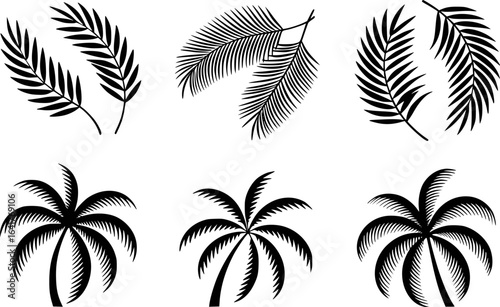 Palm fronds and trees black and white decorative elements palm trees tropical