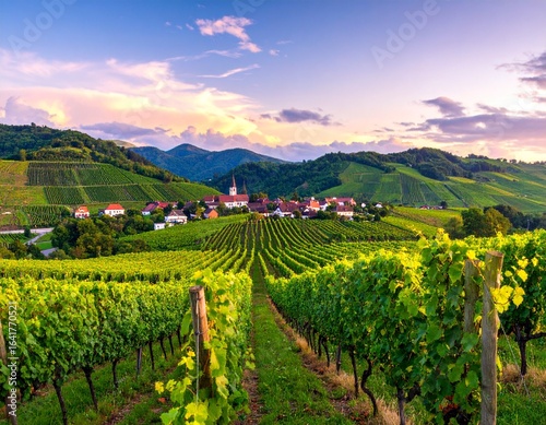 Wallpaper Mural A beautiful vineyard village landscape, representing themes of nature, agriculture, travel, and wine. Torontodigital.ca