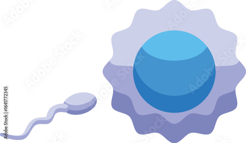 Single spermatozoon swimming towards egg cell during fertilization process, reproduction and procreation concept
