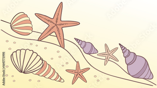 sea shells and starfish
