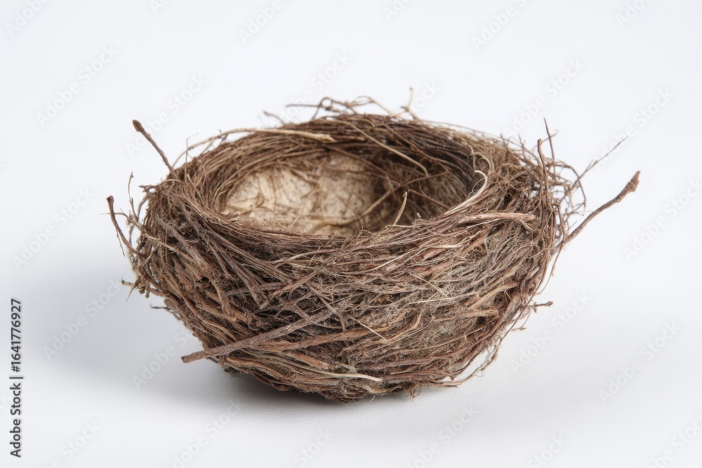 Obraz premium Bird nest constructed from twigs and fibers resting on a plain surface under soft lighting