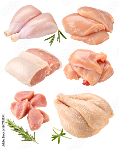 raw chicken meat different parts collection isolated on transparent background