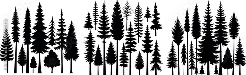 Various Tree Silhouettes on White Background — Pine, Cedar, Evergreen Forest Vector Illustration