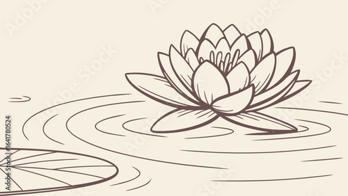 water lily flower