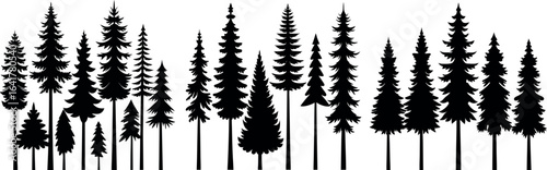 Various Tree Silhouettes on White Background — Pine, Cedar, Evergreen Forest Vector Illustration
