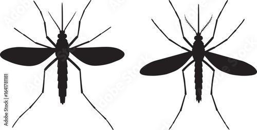 Two detailed mosquito silhouettes facing opposite directions silhouette